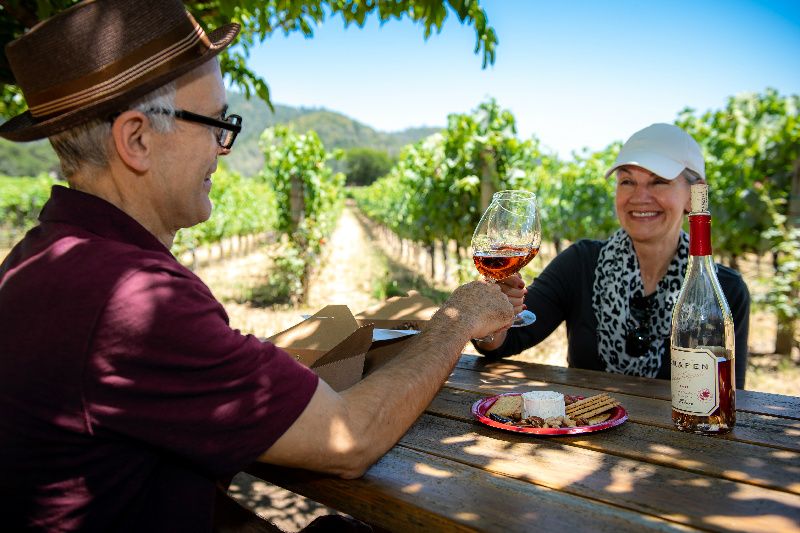 Excursión a las secuoyas y la región vinícola de California