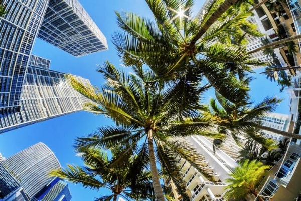 Go City: Miami All-Inclusive Pass | Choose 1/2/3/5 Days to Visit | Save up to 62% on Admission