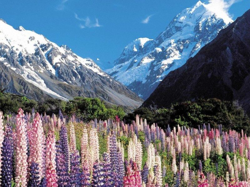 Aoraki Mount Cook Day Tour from Christchurch