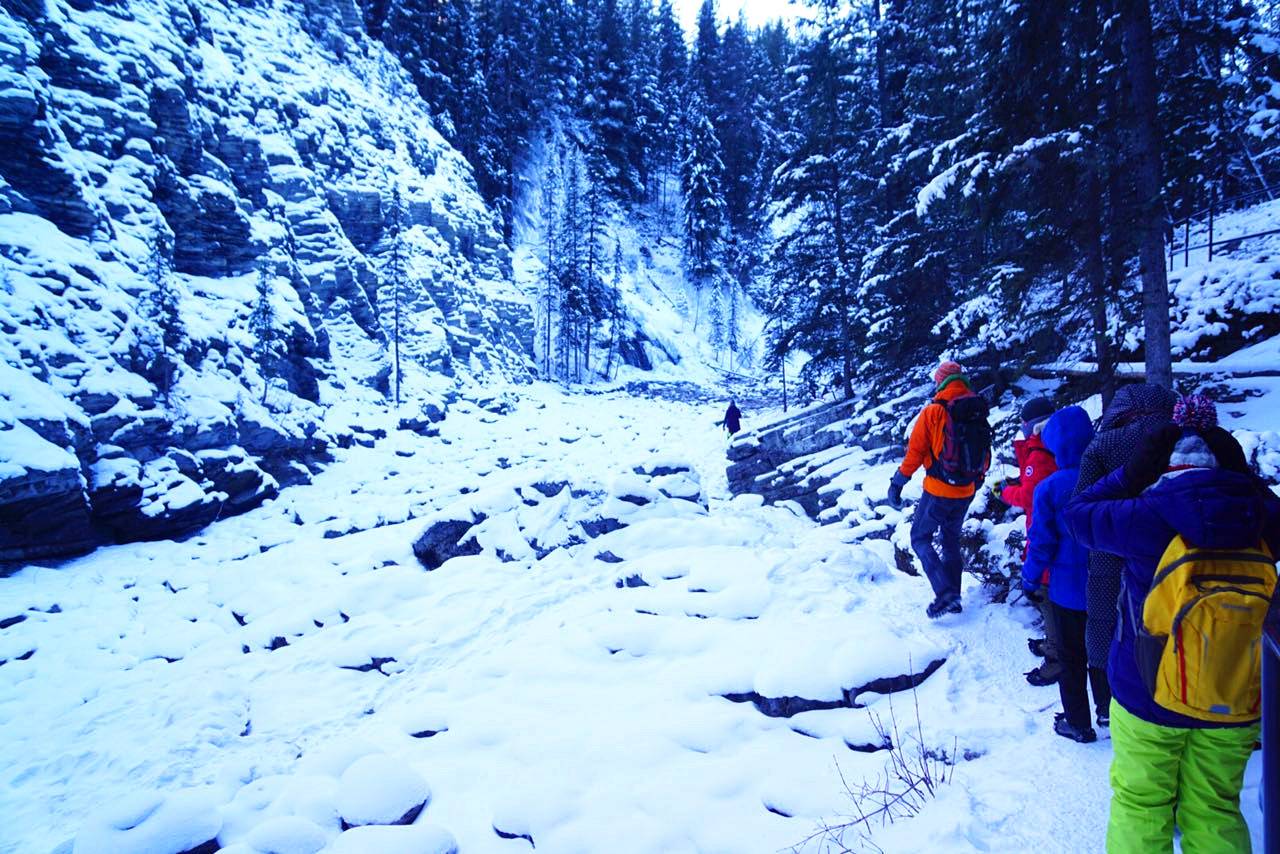 【Fairmont Experience + Summer Tour】4-Day Canada Tour from Calgary: Banff, Lake Louise, Johnston Canyon, Columbia Icefield and YOHO | Fairmont Banff Springs Hotel